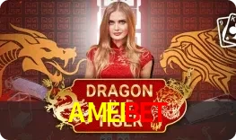 Dragon Tiger